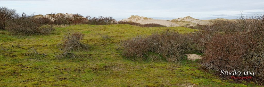 Berck-sur-Mer-0193.jpg