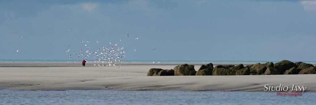 Berck-sur-Mer-0223.jpg