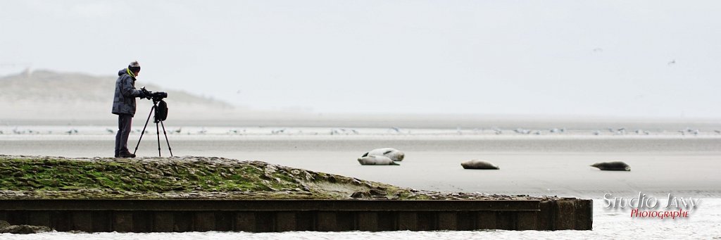 Berck-sur-Mer-0224.jpg