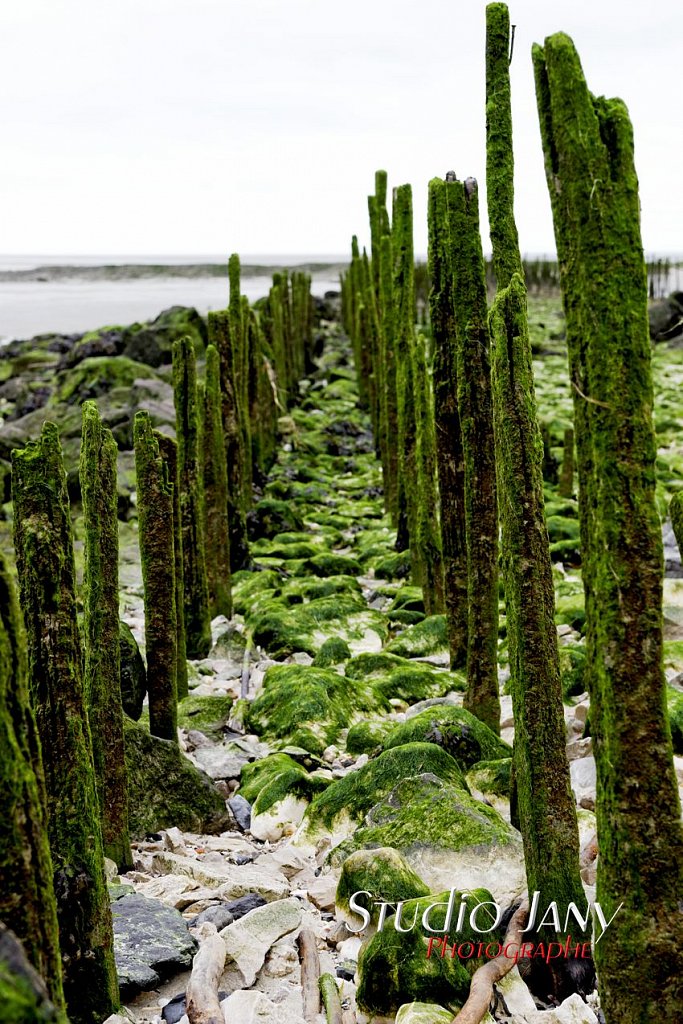 Berck-sur-Mer-0227.jpg