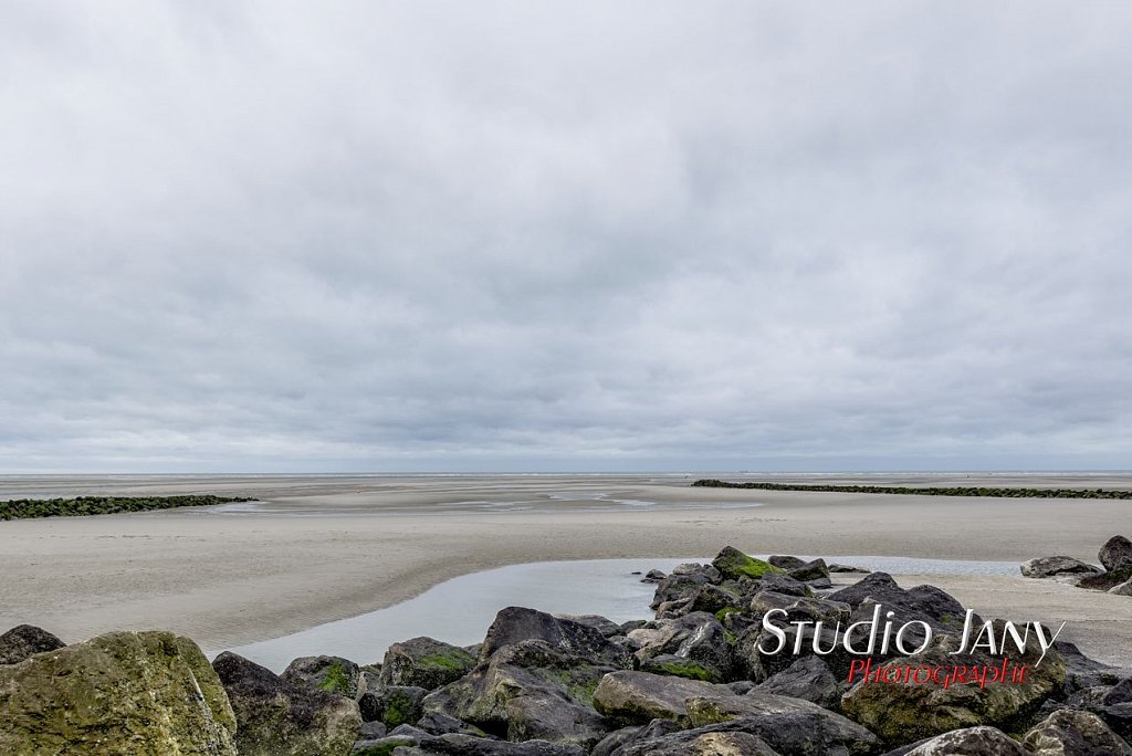 Berck-sur-Mer-0231.jpg