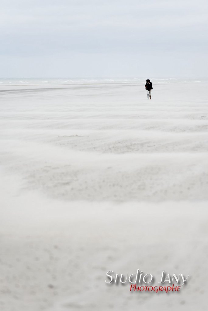 Berck-sur-Mer-0235.jpg