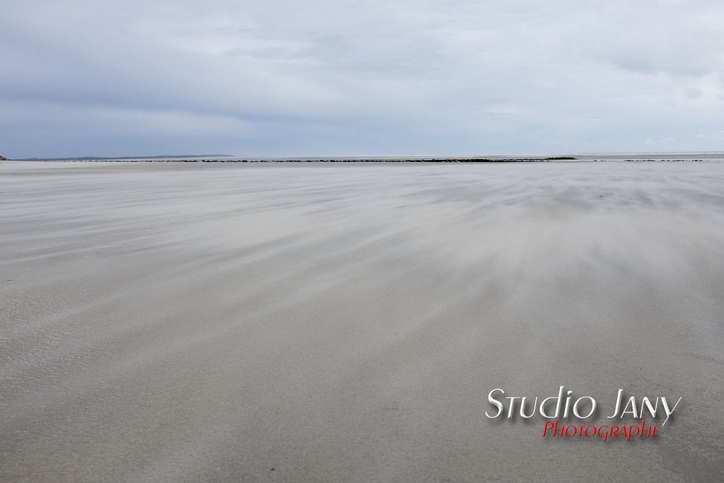 Berck-sur-Mer-0242.jpg