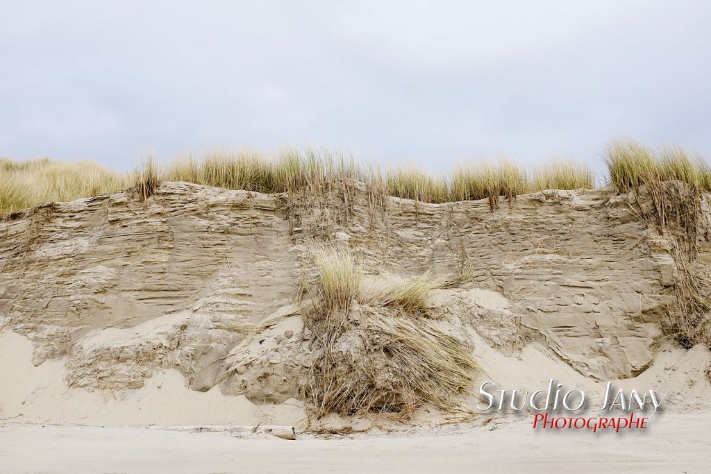 Berck-sur-Mer-0272.jpg