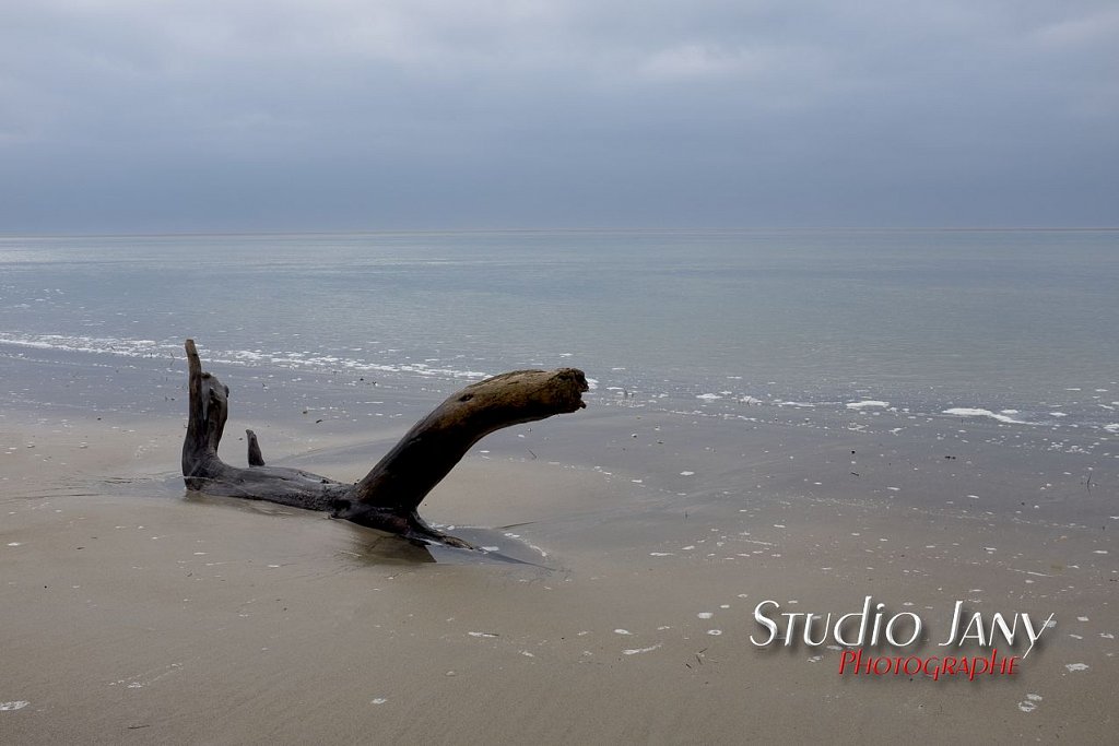 Berck-sur-Mer-0277.jpg