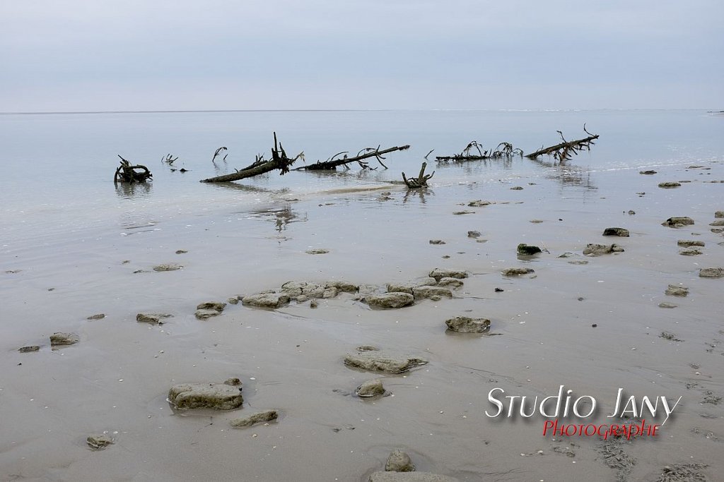 Berck-sur-Mer-0279.jpg