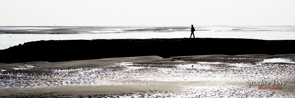 Berck-sur-Mer-0286.jpg