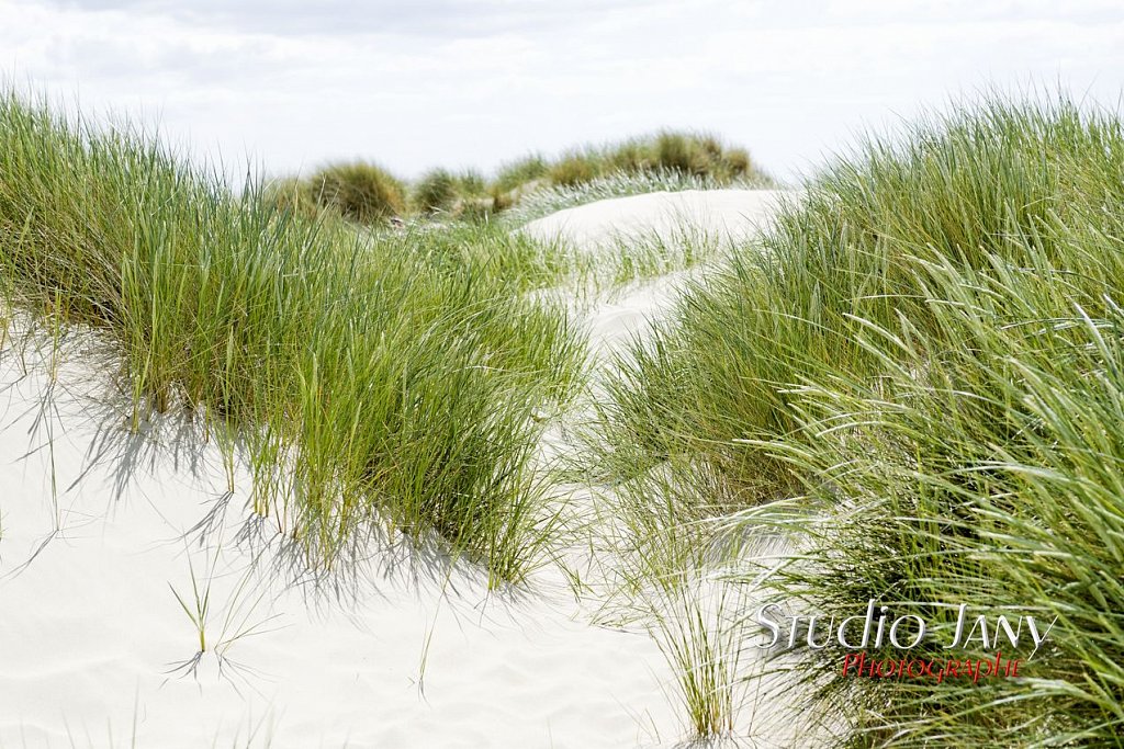 Berck-sur-Mer-0314.jpg