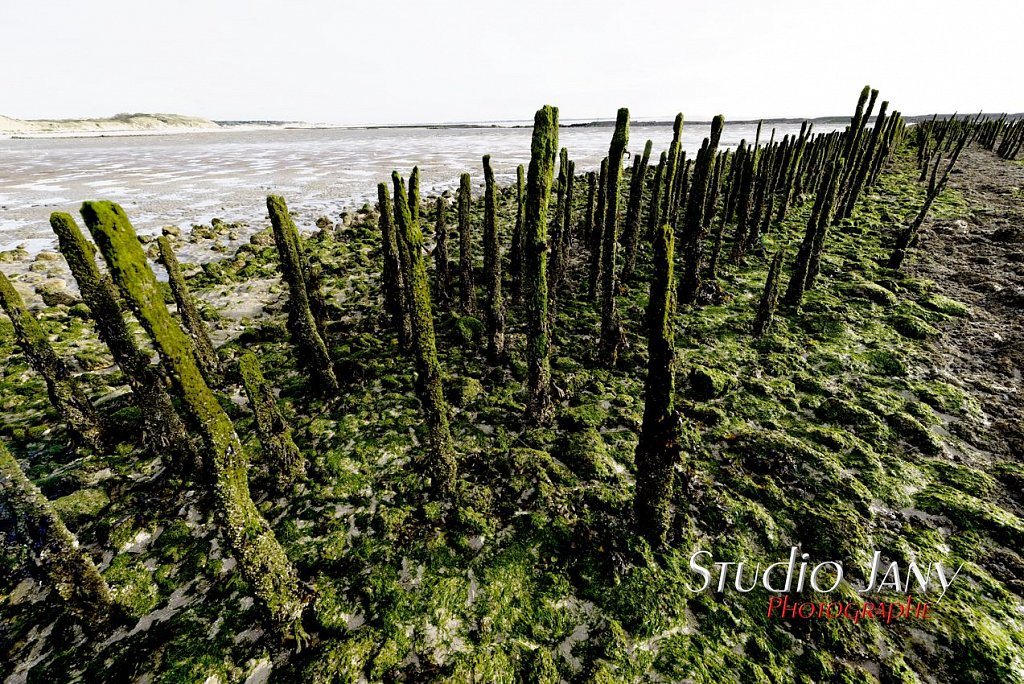 Berck-sur-Mer-0323.jpg