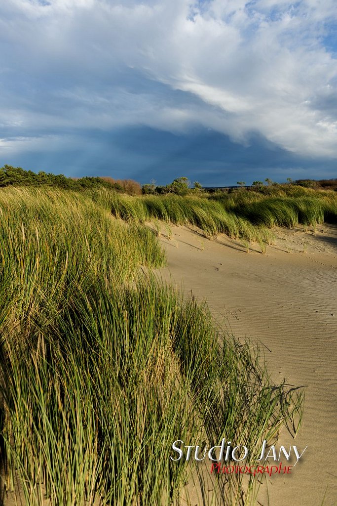 Berck-sur-Mer-0382.jpg