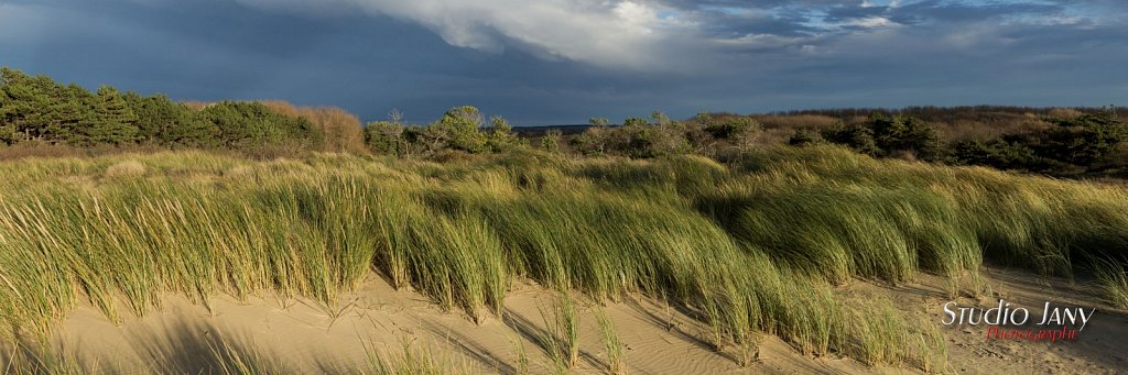 Berck-sur-Mer-0387.jpg