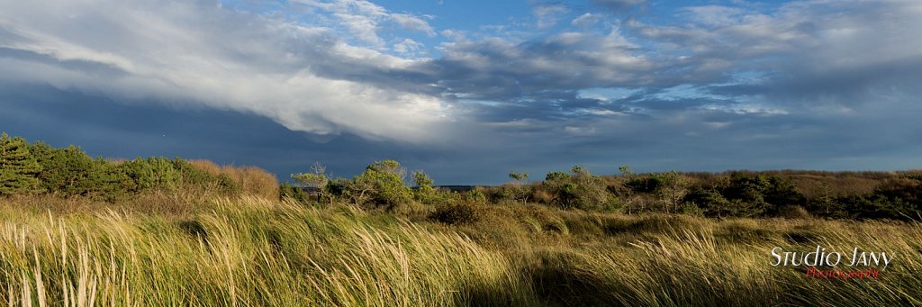 Berck-sur-Mer-0390.jpg