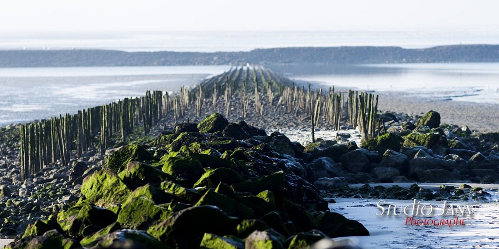 Berck-sur-Mer-0422.jpg