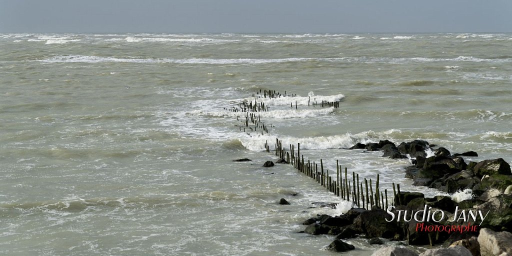 Berck-sur-Mer-0461.jpg