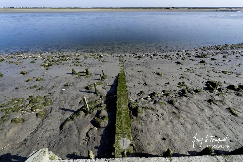 Baie-de-Somme-0044.jpg