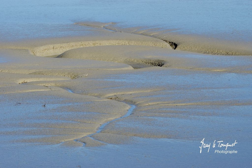 Baie-de-Somme-0170.jpg