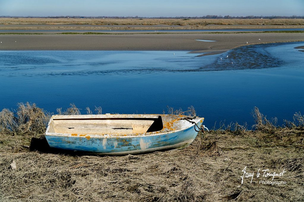 Baie-de-Somme-0174.jpg