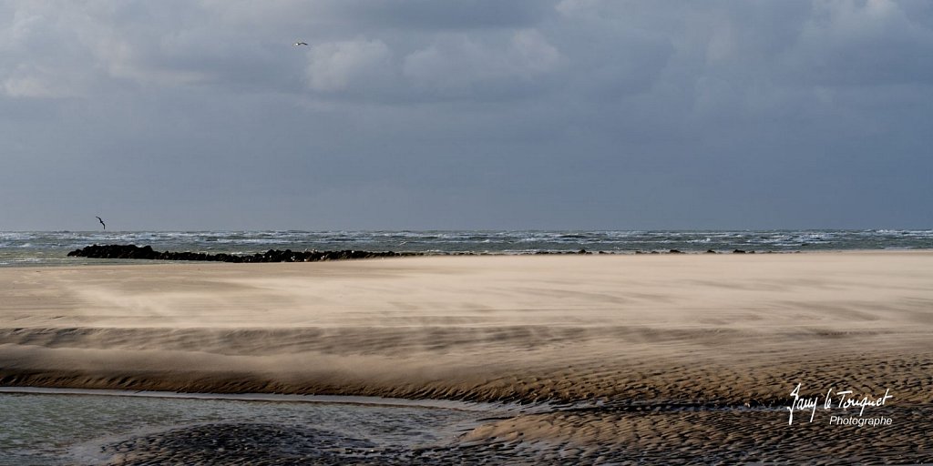 Berck-sur-Mer-0595.jpg