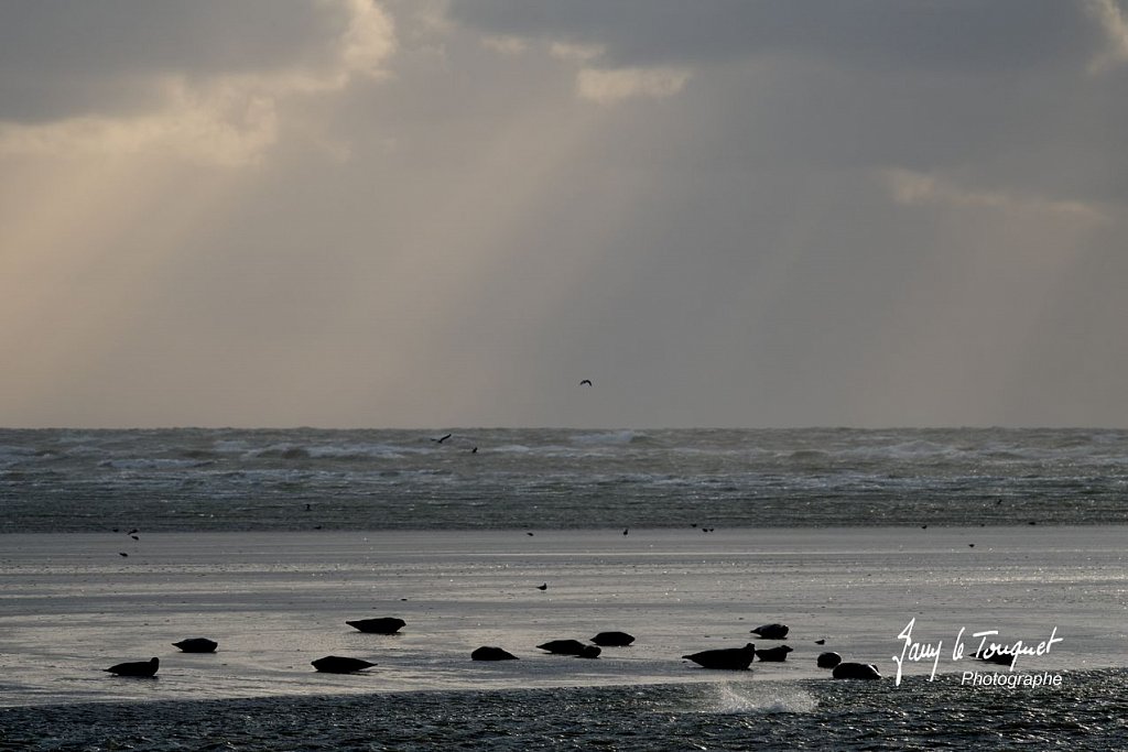 Berck-sur-Mer-0602.jpg