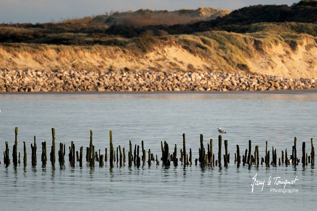 Berck-sur-Mer-0603.jpg