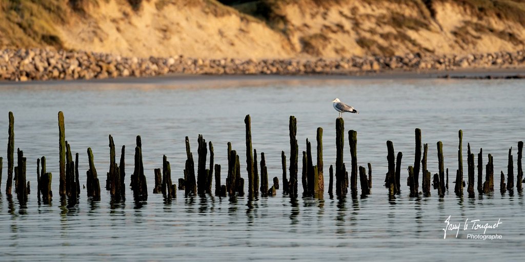 Berck-sur-Mer-0604.jpg