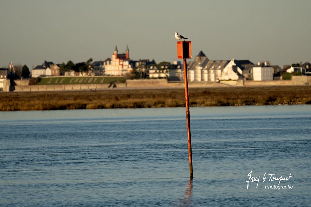 Baie-de-Somme-0286.jpg