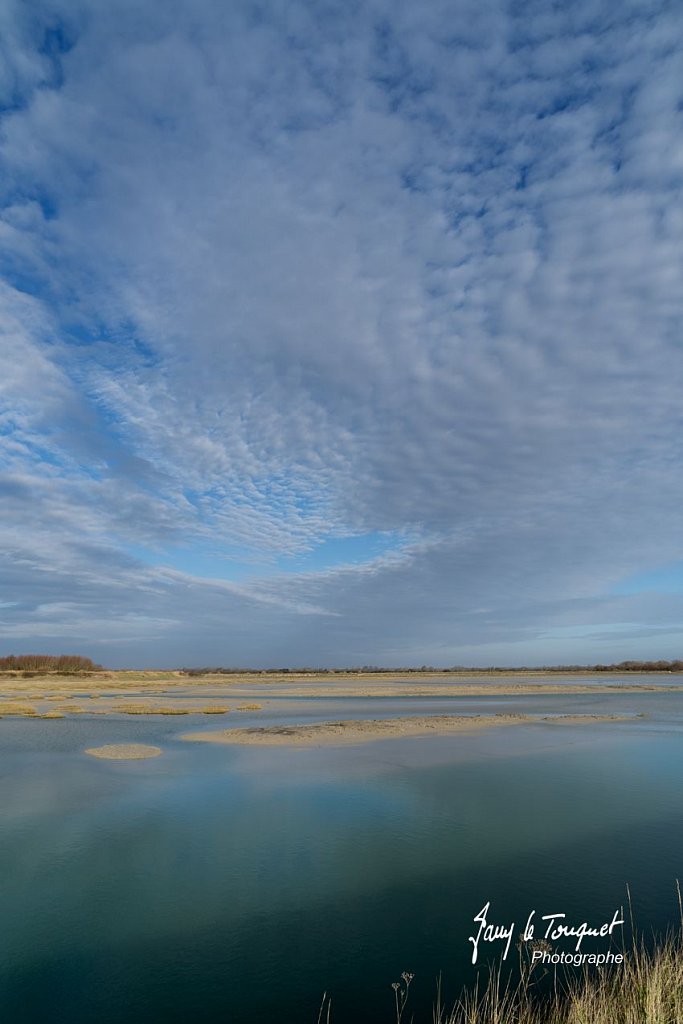 Baie-de-Somme-0296.jpg