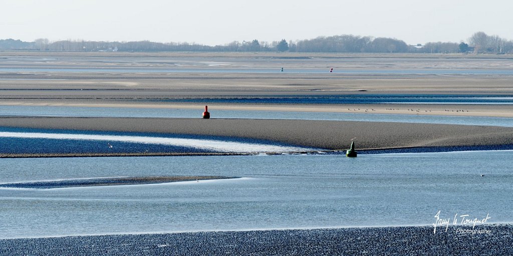 Baie-de-Somme-0297.jpg