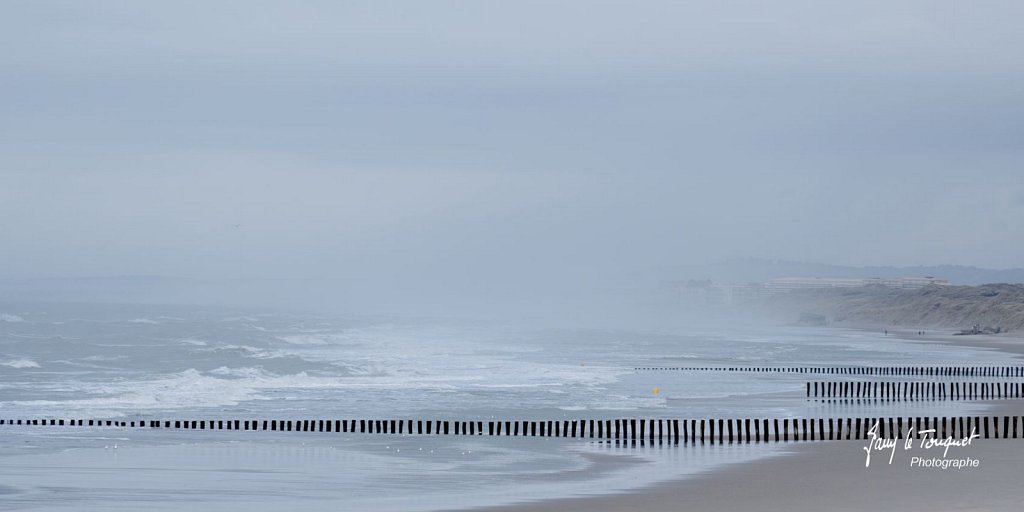 Berck-sur-Mer-0609.jpg