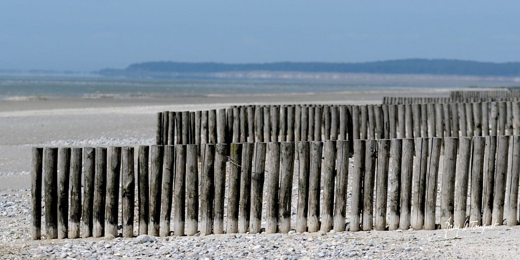 Baie-de-Somme-0334.jpg