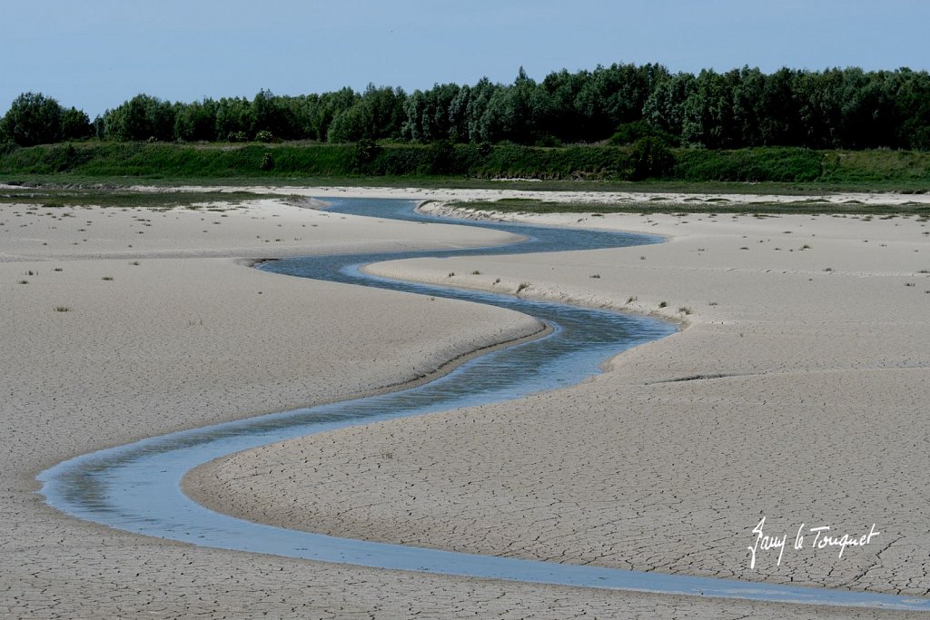 Baie-de-Somme-0339.jpg