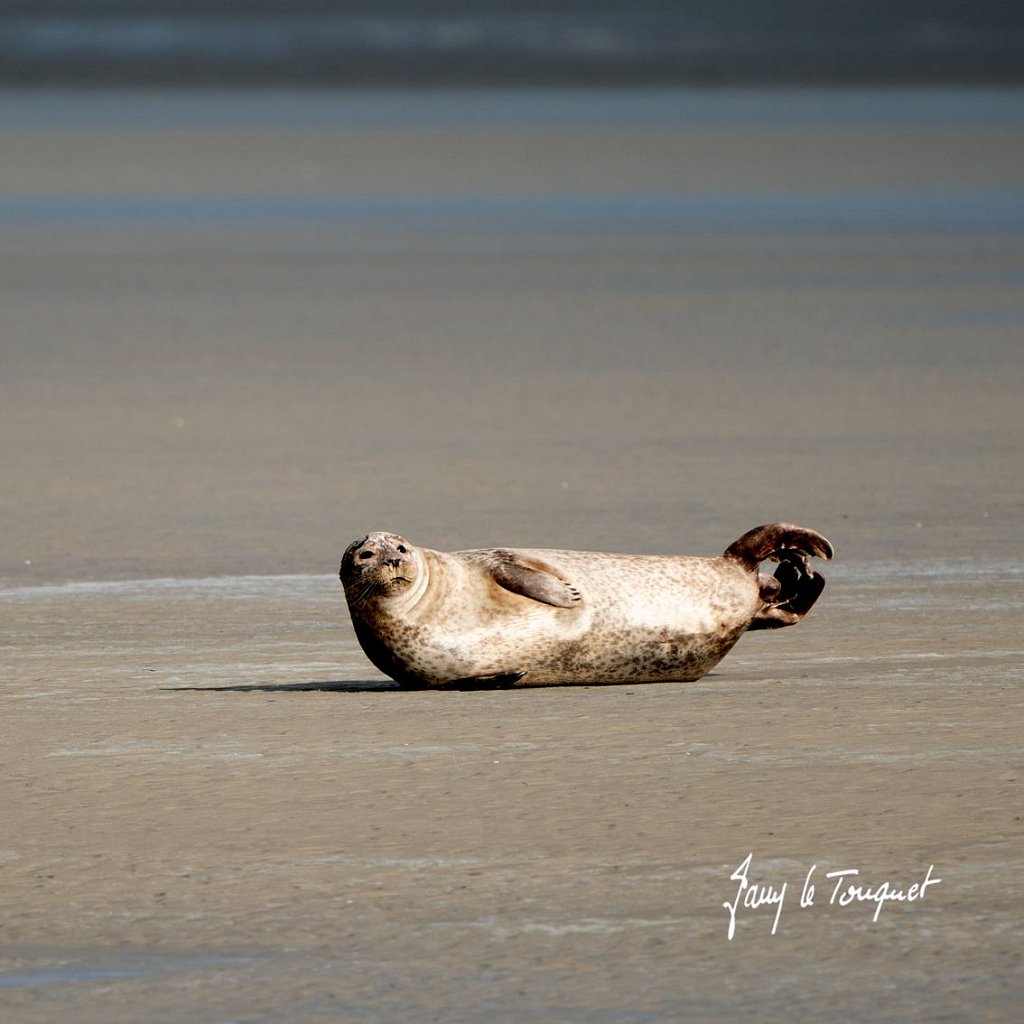 Berck-sur-Mer-0649.jpg