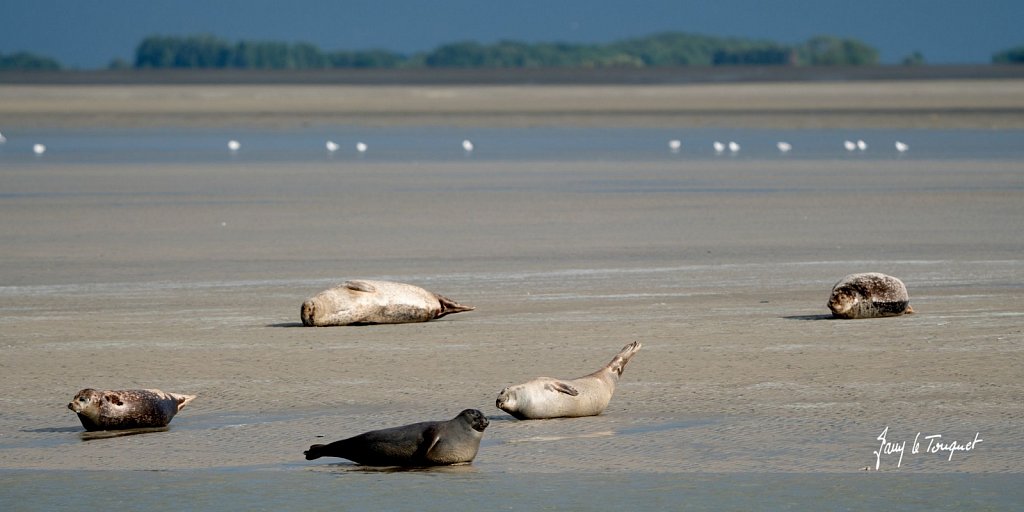 Berck-sur-Mer-0650.jpg