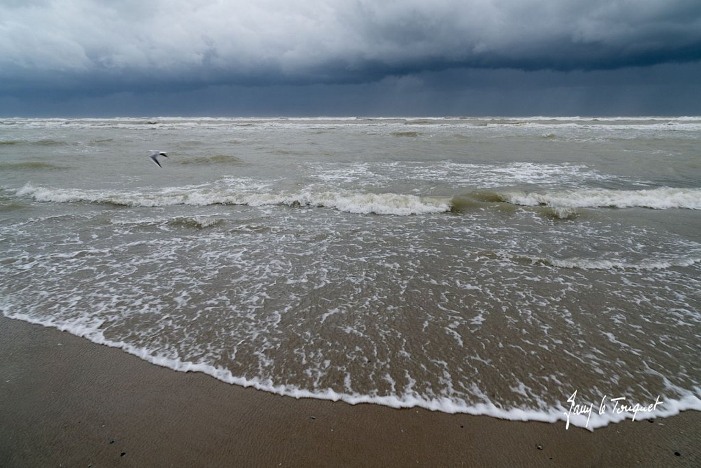 Berck-sur-Mer-0683.jpg