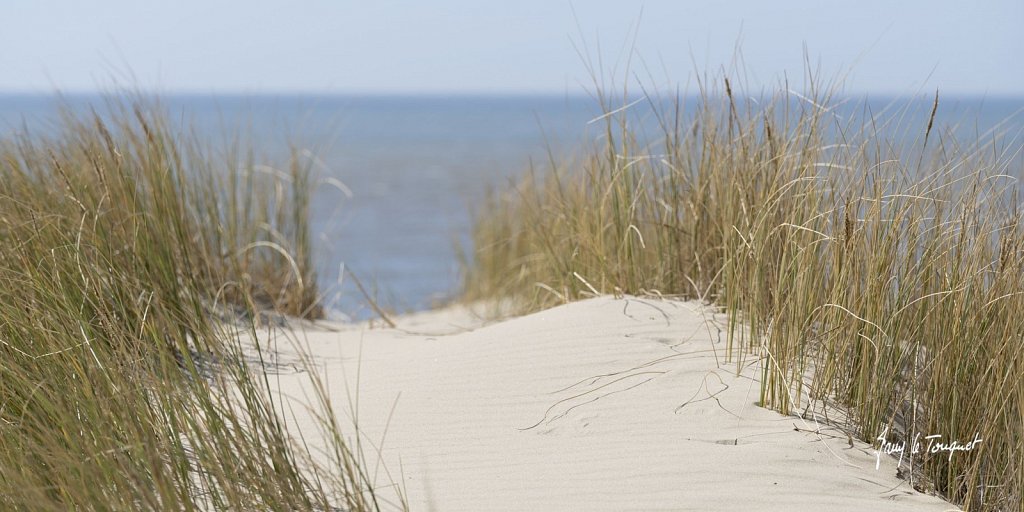 Berck-sur-Mer-0738.jpg