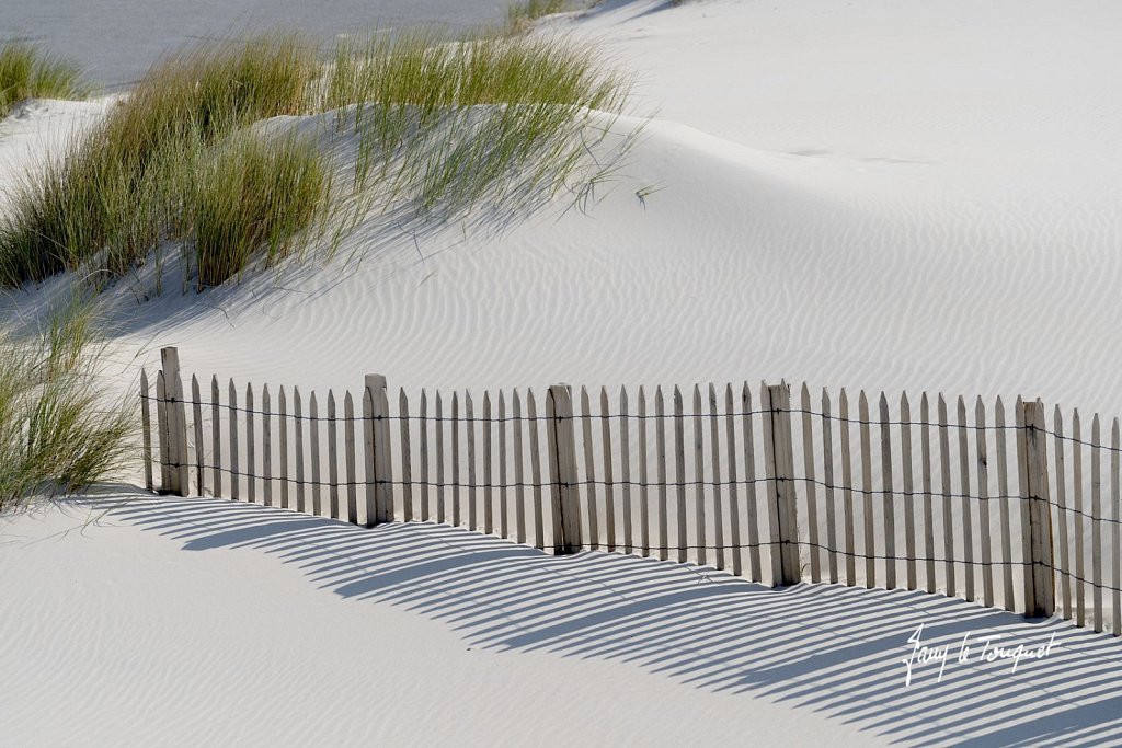 Berck-sur-Mer-0768.jpg