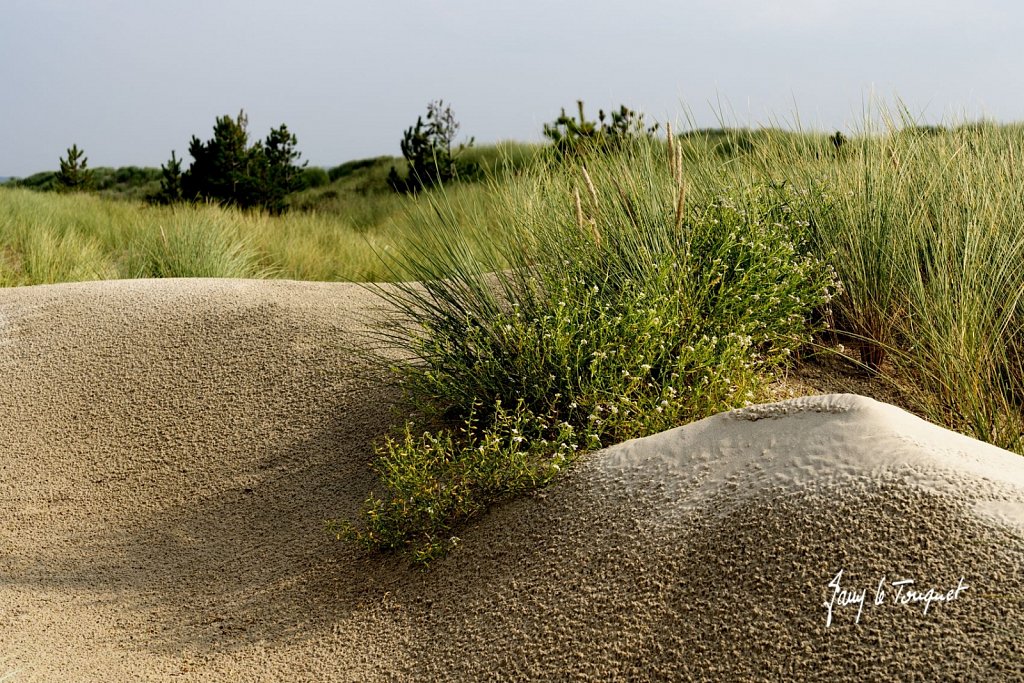 Berck-sur-Mer-0784.jpg