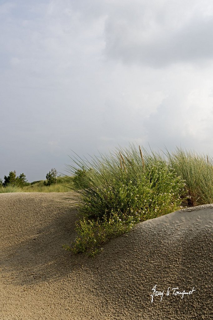 Berck-sur-Mer-0785.jpg