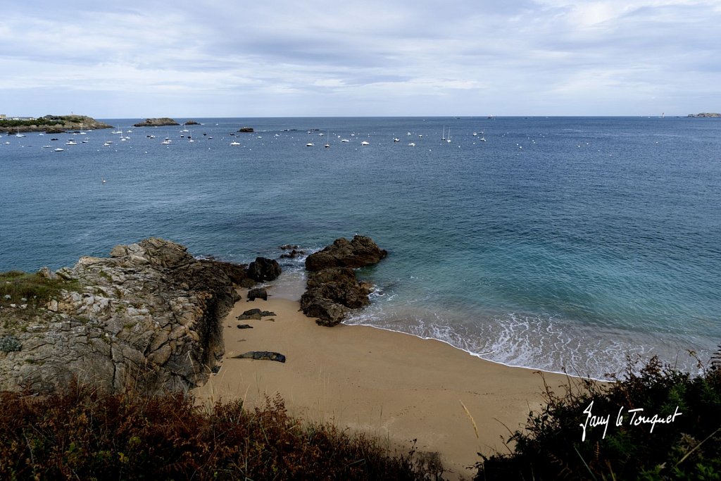 Ille-et-Vilaine-0289.jpg