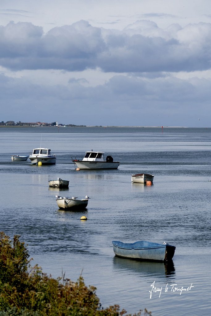 Baie-de-Somme-0413.jpg