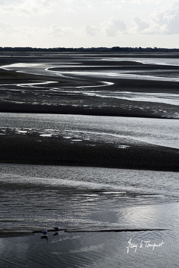 Baie-de-Somme-0416.jpg