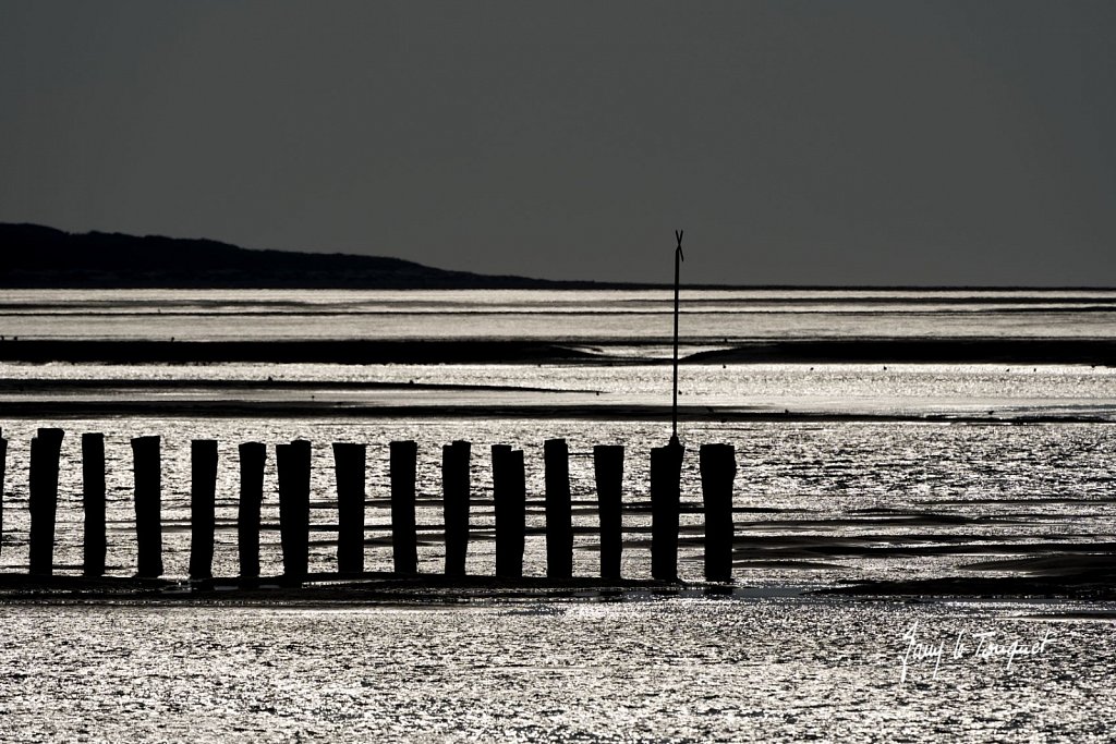 Berck-sur-Mer-0811.jpg