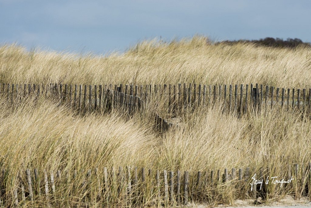 Le-Touquet-1155.jpg