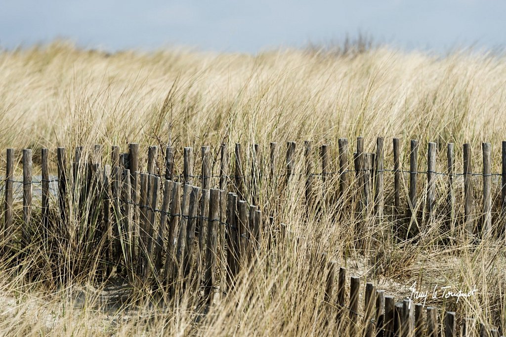 Le-Touquet-1156.jpg