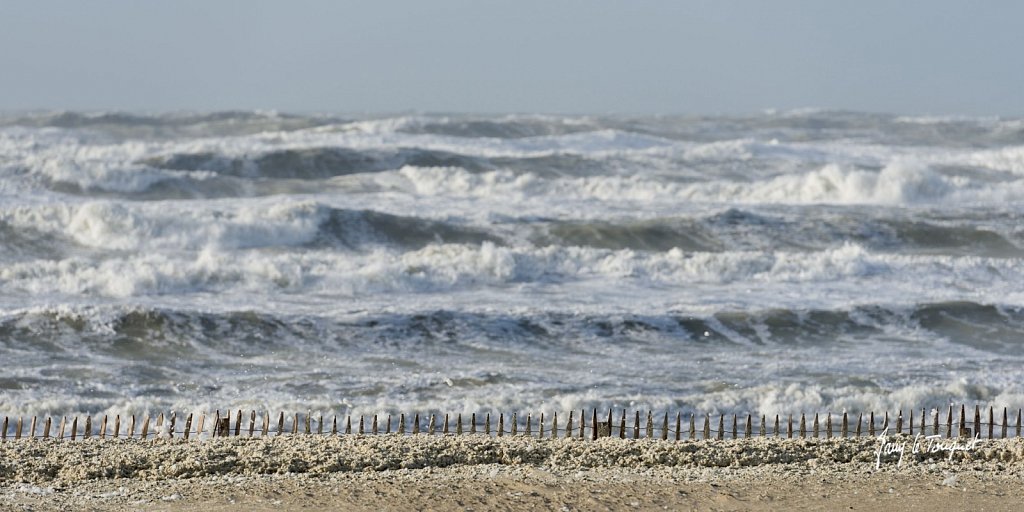 Le-Touquet-1250.jpg