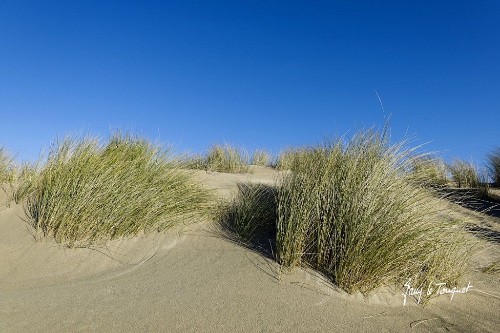 Le-Touquet-0868.jpg