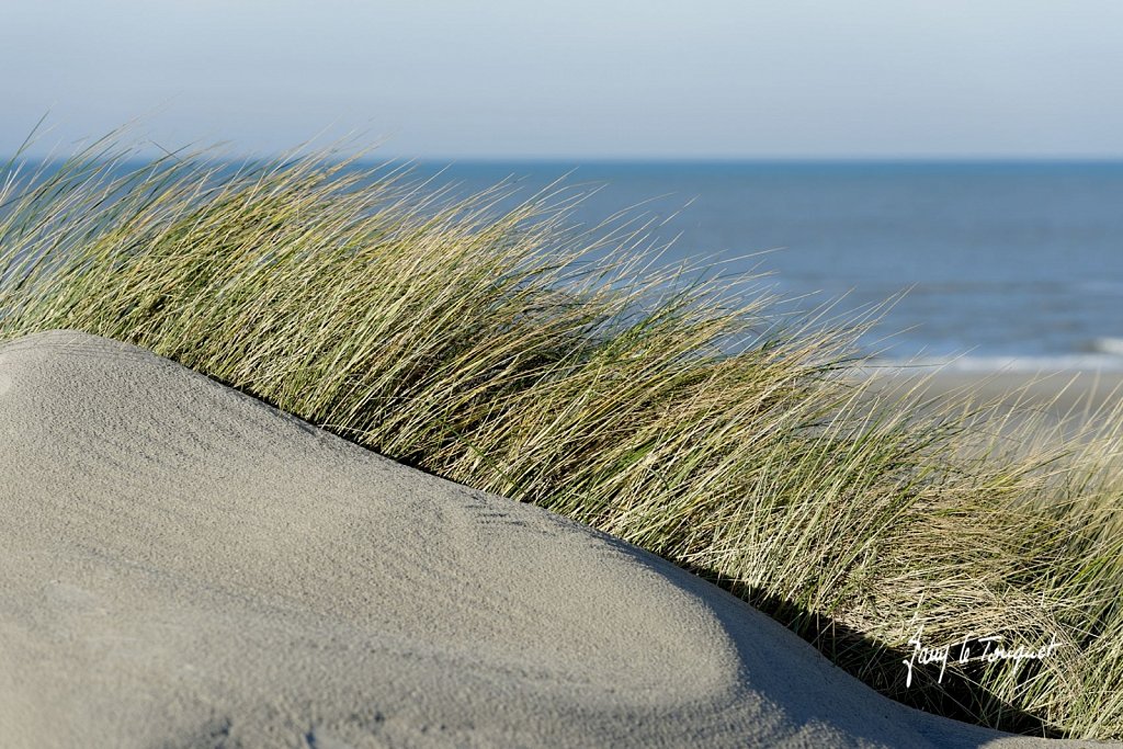 Le-Touquet-0874.jpg