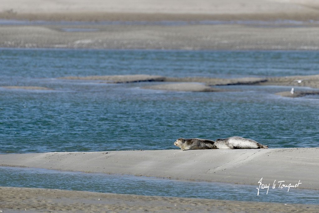 Le-Touquet-0971.jpg