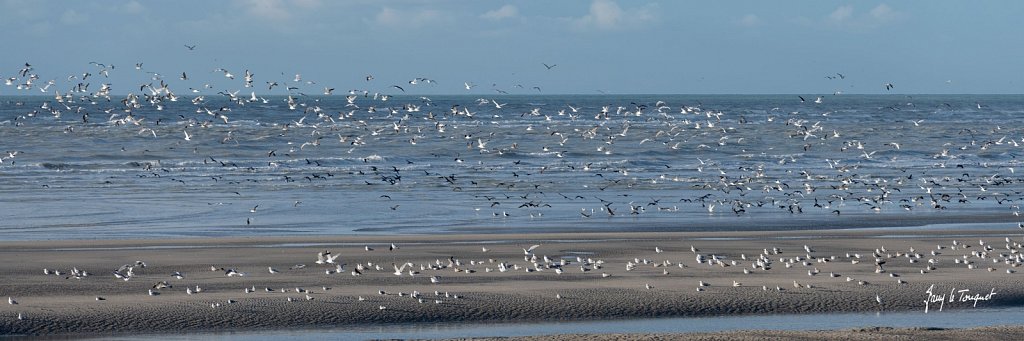 Le-Touquet-1308.jpg