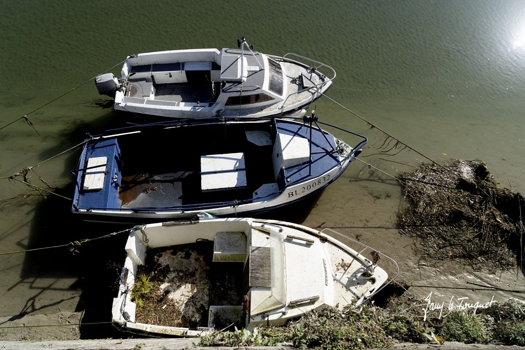 Baie-de-Somme-0427.jpg